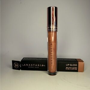Anastasia Beverly Hills Lip Gloss in "Pink Ginger" - New in Box!